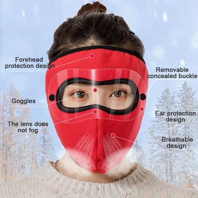 Winter Warm Full Face Mask